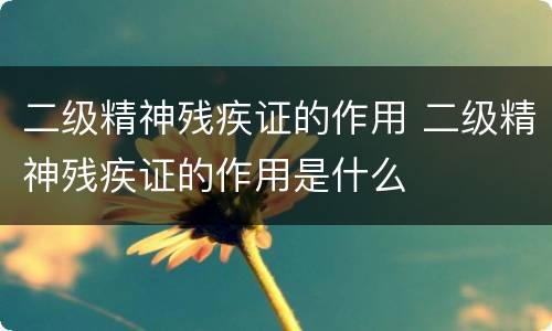 二级精神残疾证的作用 二级精神残疾证的作用是什么