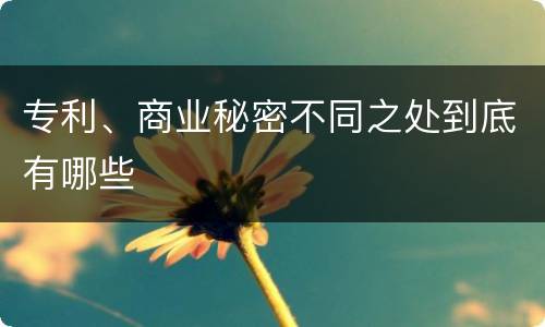 专利、商业秘密不同之处到底有哪些