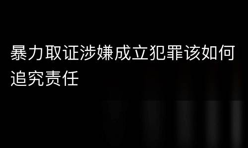 暴力取证涉嫌成立犯罪该如何追究责任