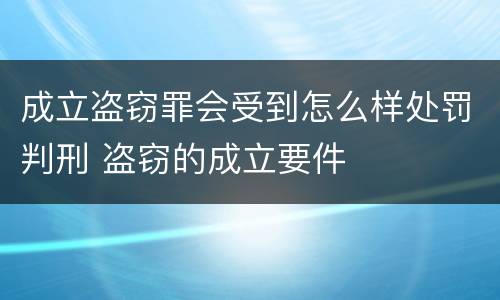 成立盗窃罪会受到怎么样处罚判刑 盗窃的成立要件