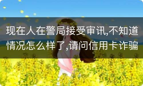 现在人在警局接受审讯,不知道情况怎么样了,请问信用卡诈骗罪是如何认定和处罚的