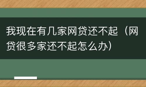 我现在有几家网贷还不起（网贷很多家还不起怎么办）