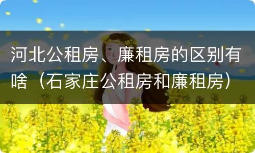 河北公租房、廉租房的区别有啥（石家庄公租房和廉租房）