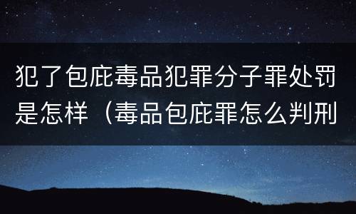 犯了包庇毒品犯罪分子罪处罚是怎样（毒品包庇罪怎么判刑）
