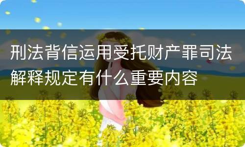 刑法背信运用受托财产罪司法解释规定有什么重要内容