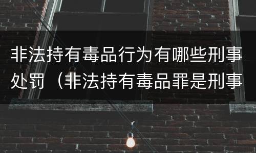 非法持有毒品行为有哪些刑事处罚（非法持有毒品罪是刑事犯罪吗）