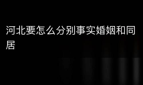 河北要怎么分别事实婚姻和同居