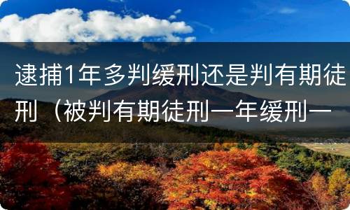 逮捕1年多判缓刑还是判有期徒刑（被判有期徒刑一年缓刑一年）