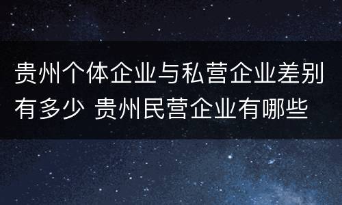 贵州个体企业与私营企业差别有多少 贵州民营企业有哪些