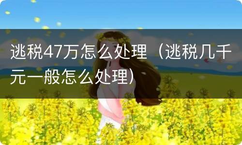 逃税47万怎么处理（逃税几千元一般怎么处理）