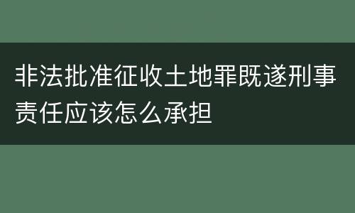 非法批准征收土地罪既遂刑事责任应该怎么承担