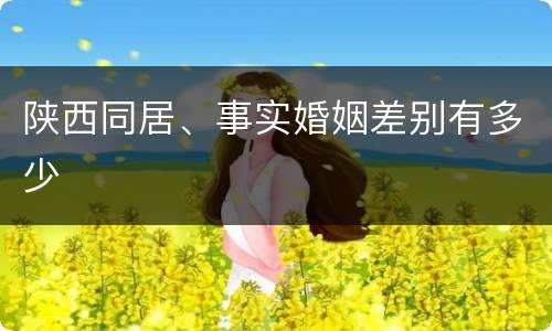 陕西同居、事实婚姻差别有多少