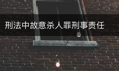 刑法中故意杀人罪刑事责任