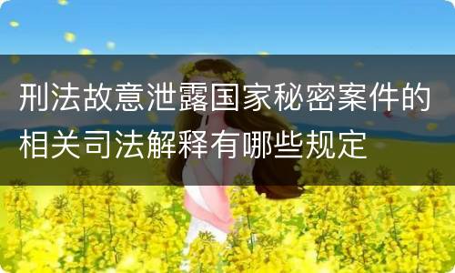 刑法故意泄露国家秘密案件的相关司法解释有哪些规定