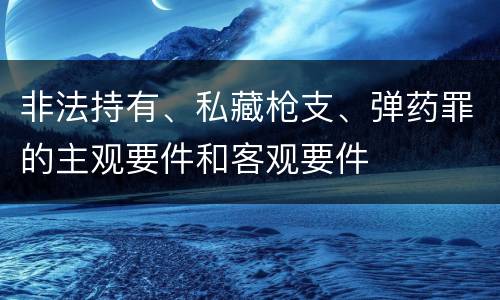 非法持有、私藏枪支、弹药罪的主观要件和客观要件