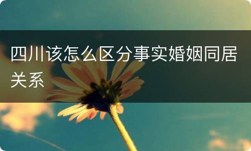 四川该怎么区分事实婚姻同居关系