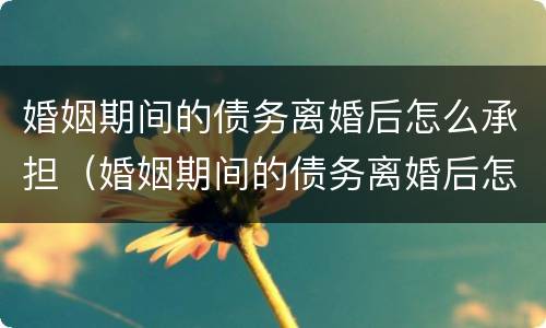 婚姻期间的债务离婚后怎么承担（婚姻期间的债务离婚后怎么承担赔偿）
