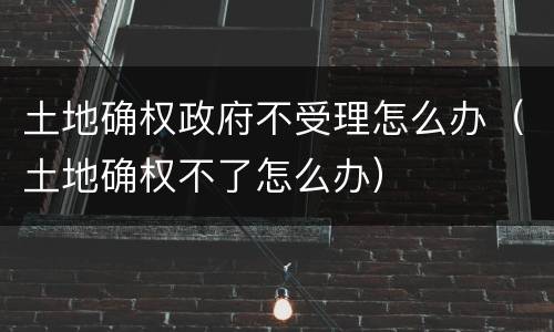土地确权政府不受理怎么办（土地确权不了怎么办）