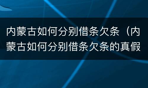 内蒙古如何分别借条欠条（内蒙古如何分别借条欠条的真假）