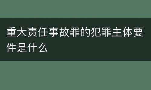 重大责任事故罪的犯罪主体要件是什么
