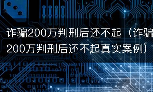 诈骗200万判刑后还不起（诈骗200万判刑后还不起真实案例）