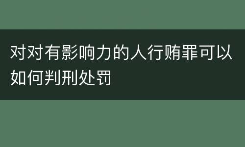 对对有影响力的人行贿罪可以如何判刑处罚