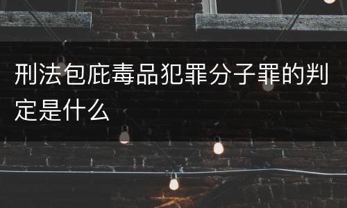 刑法包庇毒品犯罪分子罪的判定是什么