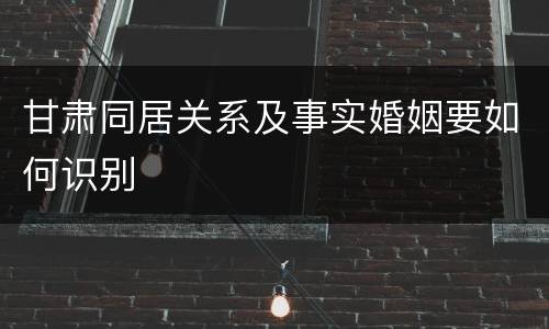 甘肃同居关系及事实婚姻要如何识别