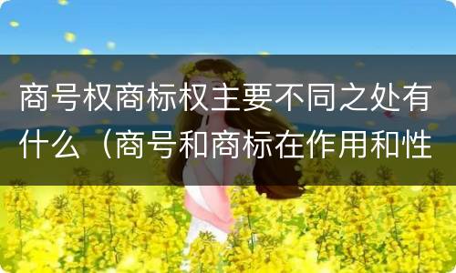 商号权商标权主要不同之处有什么（商号和商标在作用和性质上的区别）