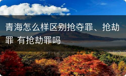 青海怎么样区别抢夺罪、抢劫罪 有抢劫罪吗