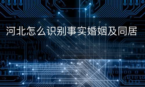 河北怎么识别事实婚姻及同居