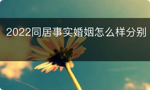 2022同居事实婚姻怎么样分别