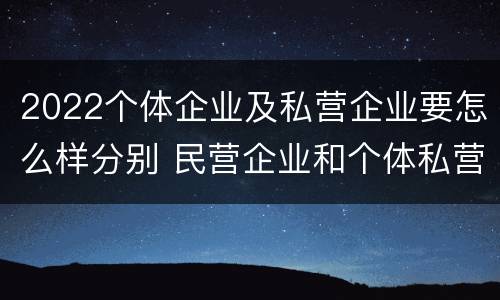 2022个体企业及私营企业要怎么样分别 民营企业和个体私营