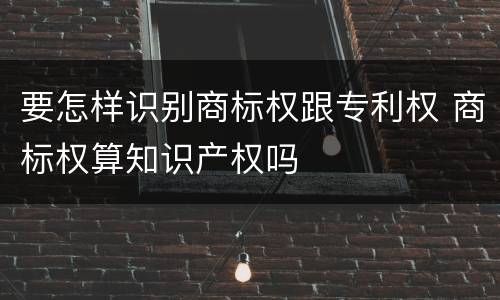要怎样识别商标权跟专利权 商标权算知识产权吗