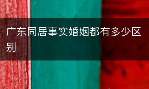 广东同居事实婚姻都有多少区别