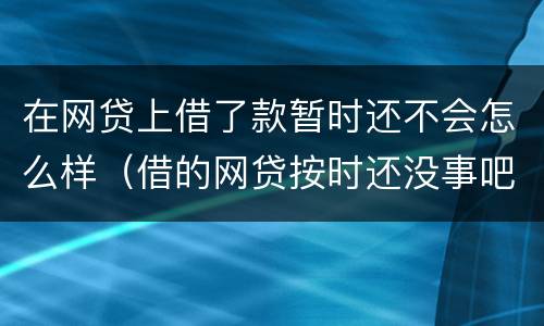 在网贷上借了款暂时还不会怎么样（借的网贷按时还没事吧）