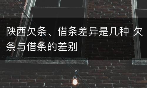 陕西欠条、借条差异是几种 欠条与借条的差别