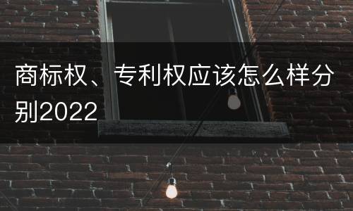商标权、专利权应该怎么样分别2022