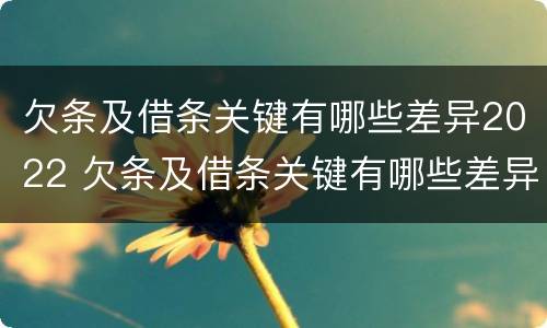 欠条及借条关键有哪些差异2022 欠条及借条关键有哪些差异2022怎么写