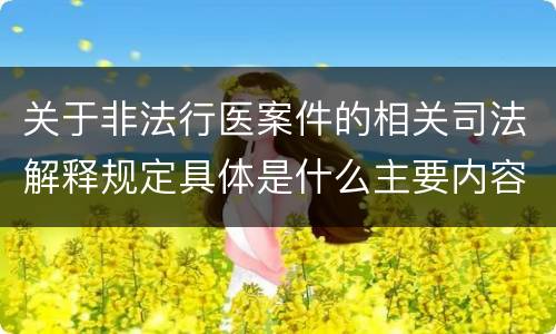关于非法行医案件的相关司法解释规定具体是什么主要内容