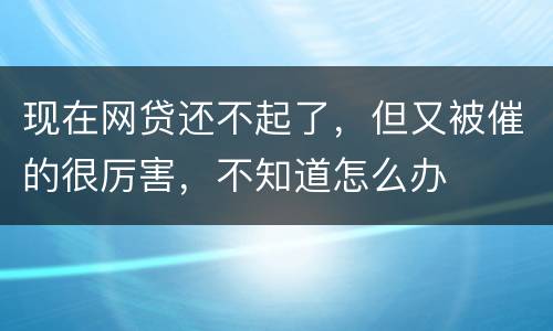现在网贷还不起了，但又被催的很厉害，不知道怎么办