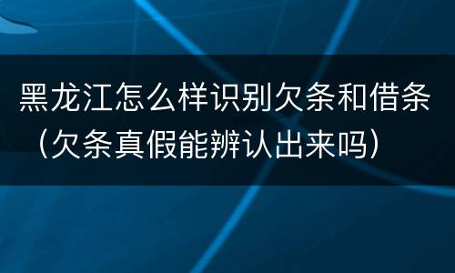 黑龙江怎么样识别欠条和借条（欠条真假能辨认出来吗）