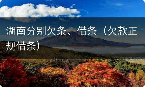 湖南分别欠条、借条（欠款正规借条）