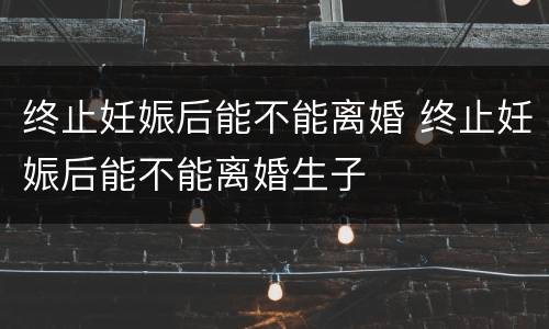 终止妊娠后能不能离婚 终止妊娠后能不能离婚生子