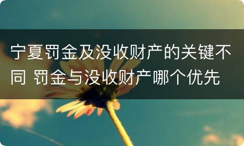 宁夏罚金及没收财产的关键不同 罚金与没收财产哪个优先