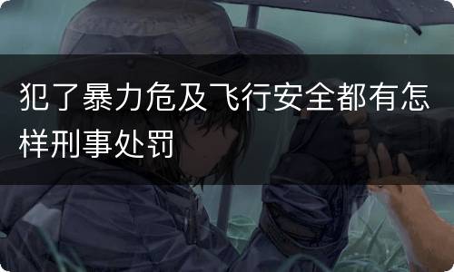 犯了暴力危及飞行安全都有怎样刑事处罚