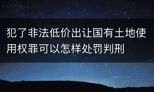 犯了非法低价出让国有土地使用权罪可以怎样处罚判刑