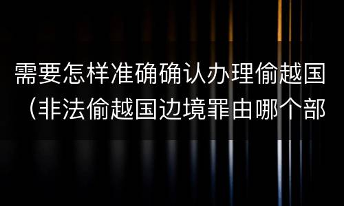 需要怎样准确确认办理偷越国（非法偷越国边境罪由哪个部门办理）