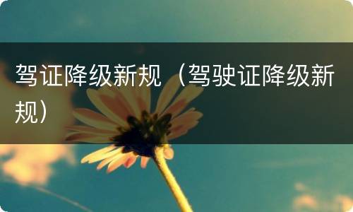 驾证降级新规（驾驶证降级新规）