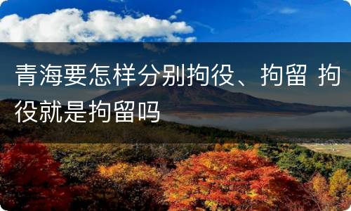 青海要怎样分别拘役、拘留 拘役就是拘留吗